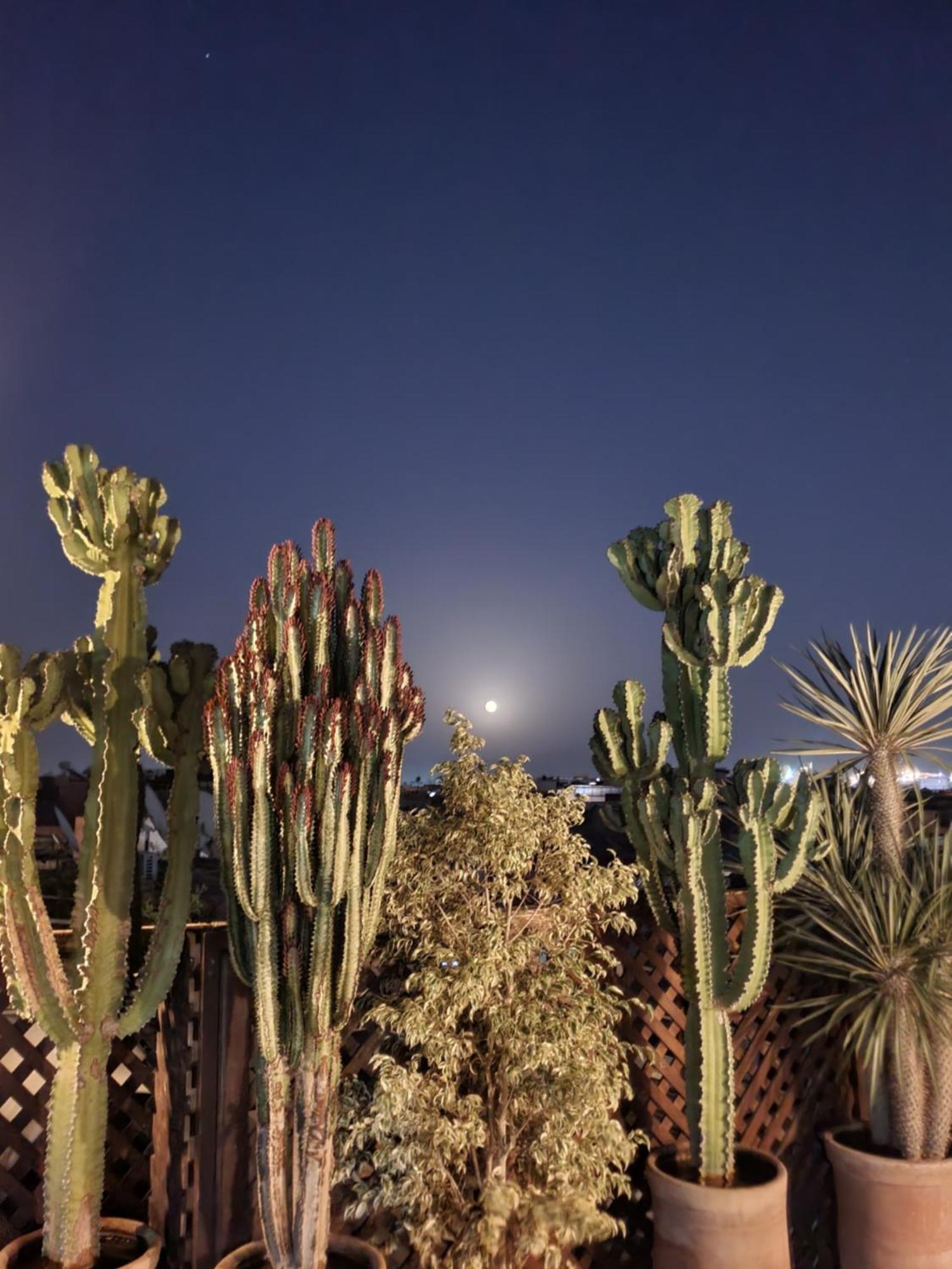 Riad Alma Mouassine Marrakesh Buitenkant foto